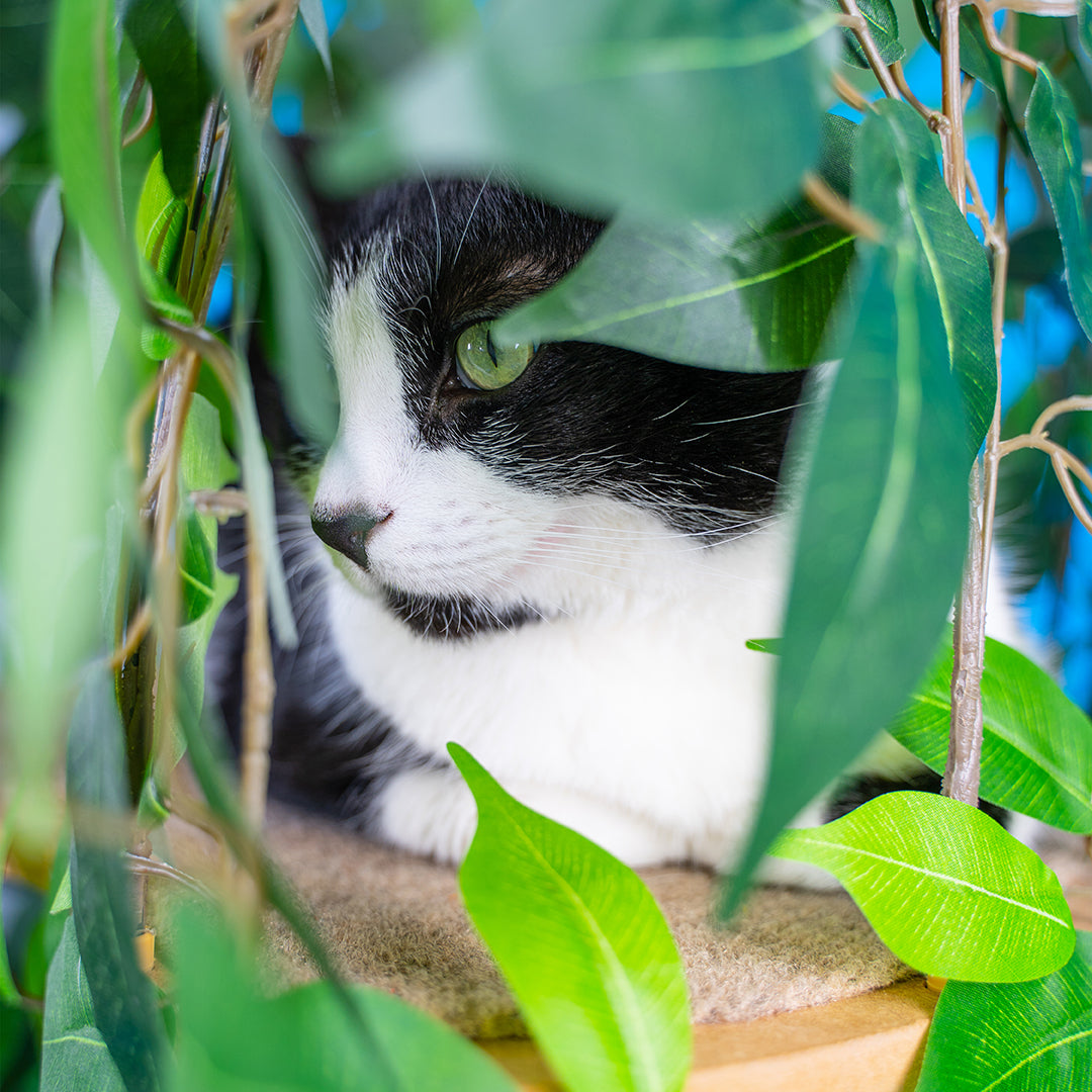 5ft Interchangeable Leaves Cat Tree Round Base, Zen Green