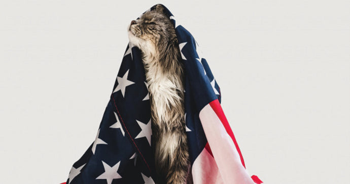 Have a safe Fur-th of July