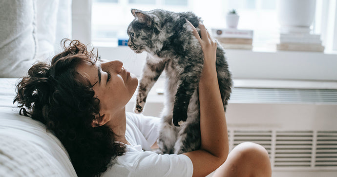 CATS LOVE YOU: HOW YOUR PET AFFECTS YOUR WELLBEING