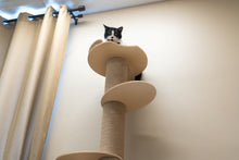 Load image into Gallery viewer, 5-Level Wall-Mounted Activity Cat Tree, 72 Inch Cat Scratching Post