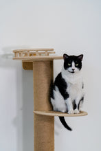 Load image into Gallery viewer, 5-Level Wall-Mounted Activity Cat Tree, 72 Inch Cat Scratching Post