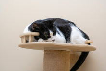 Load image into Gallery viewer, 5-Level Wall-Mounted Activity Cat Tree, 72 Inch Cat Scratching Post