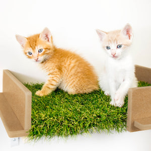 Cat Shelves (Set of Two)