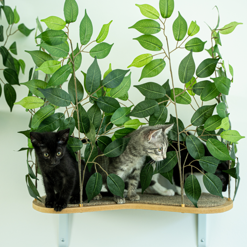 Interchangeable Leaves Product On2Pets