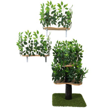 Load image into Gallery viewer, 4-ft Interchangeable Leaves Cat Tree &amp; Canopies Bundle Deal