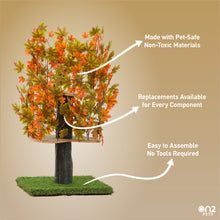 Load image into Gallery viewer, 4ft Interchangeable Leaves Cat Tree Square Base, Mixed Maple
