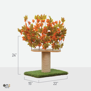 2-ft Interchangeable Leaves Kitty tree w/ Scratching Post In Mixed Maple