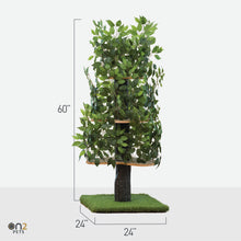 Load image into Gallery viewer, On2 Pets large square cat tree with lifelike artificial leaves, featuring multiple levels for climbing and exploration, with a natural sisal rope scratching post for satisfying scratching needs. Measures 24 inches by 24 inches by 60 inches and supports up to 32 pounds. Beige base.