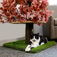 Load image into Gallery viewer, 4ft Interchangeable Leaves Cat Tree Square Base, Deep Plum