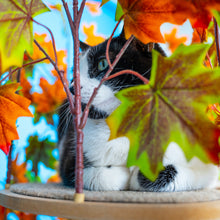 Load image into Gallery viewer, 5ft Interchangeable Leaves Cat Tree Round Base, Mixed Maple