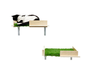 Cat Shelves (Set of Two)